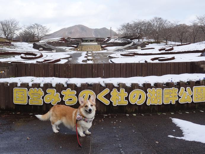 雪の「みちのく杜の湖畔公園」_f0075595_055981.jpg