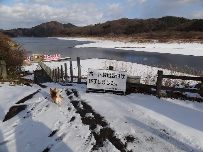 雪の「みちのく杜の湖畔公園」_f0075595_0583138.jpg