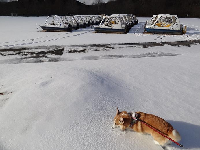 雪の「みちのく杜の湖畔公園」_f0075595_113081.jpg