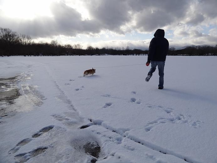 雪の「みちのく杜の湖畔公園」_f0075595_122893.jpg