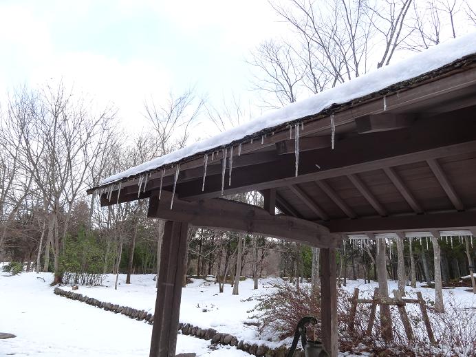 雪の「みちのく杜の湖畔公園」_f0075595_17716.jpg