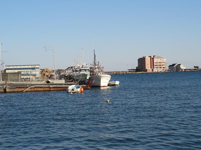 f0075595_202472.jpg