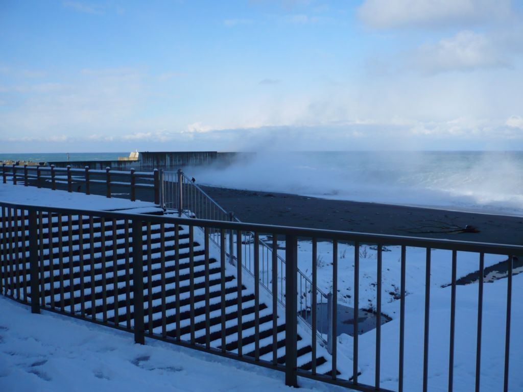 雪が積もりました♪_d0235898_10245997.jpg