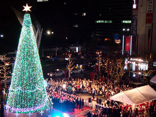a0047200_12292560.jpg