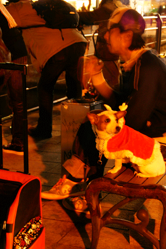 e0153701_020673.gif