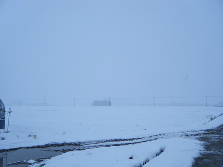b0204506_22531924.jpg