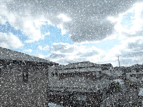 b0052108_1761386.gif