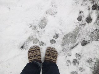 大雪?_d0099708_10555316.jpg