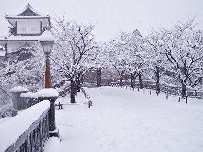 b0151911_1738639.jpg