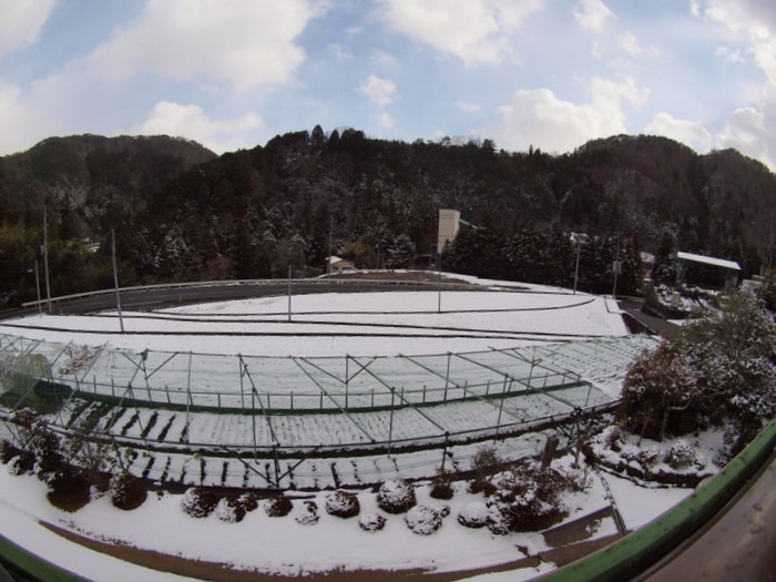 午後の田んぼ_c0116915_2358368.jpg