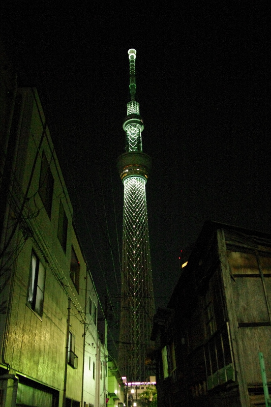 a0012319_11221081.jpg