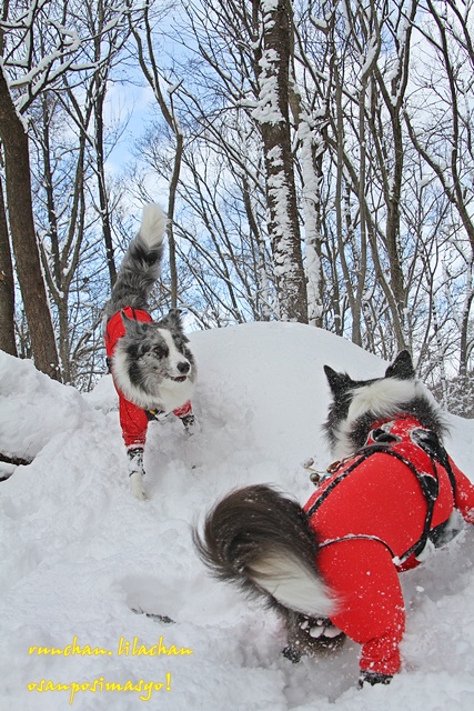 雪山登山！！！_b0192121_18202869.jpg