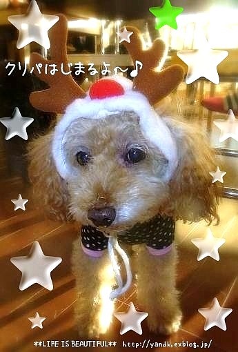♪クリスマスパーティー2011♪_d0083623_21491350.jpg