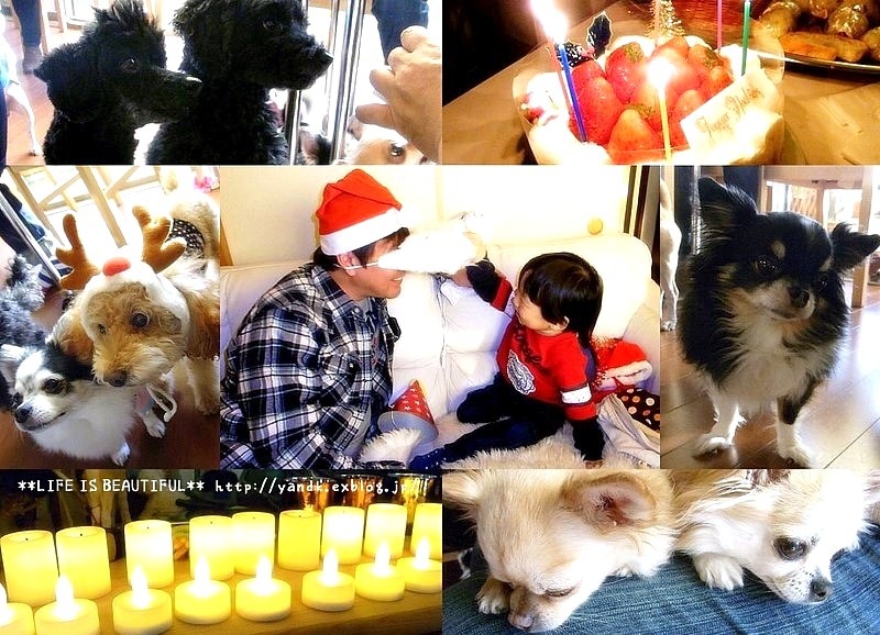 ♪クリスマスパーティー2011♪_d0083623_21545266.jpg