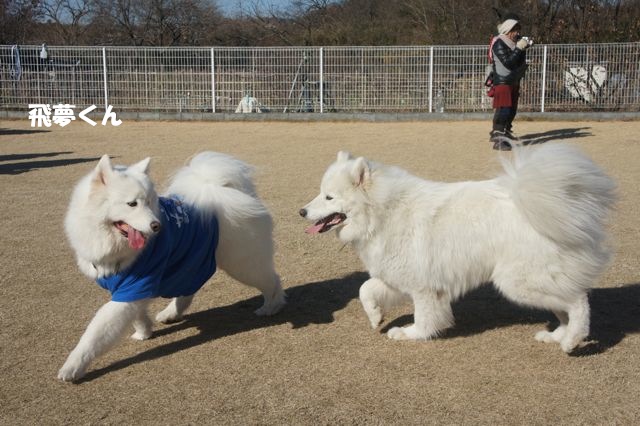 12月お誕生日オフ会に行ってきたよ_f0234023_1234571.jpg