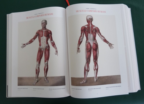 まるでヨーロッパ中世期の本を思わせる「解剖図譜」_c0113928_23224979.jpg