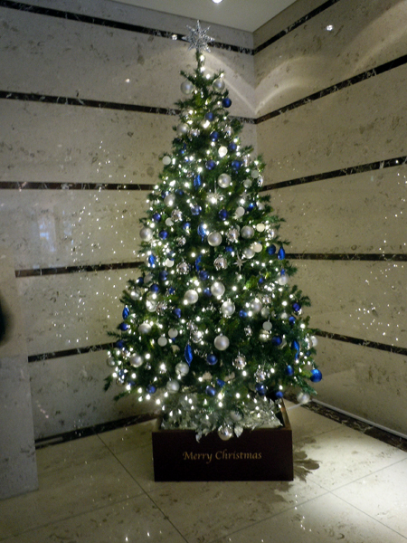 c0117831_2043015.jpg