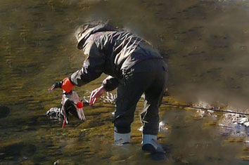 a0056140_1715228.jpg