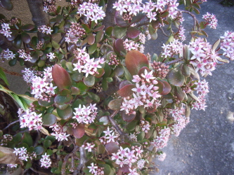 c0205840_12385620.jpg