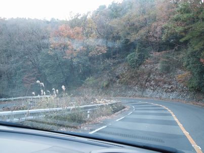 d0079440_1192564.jpg