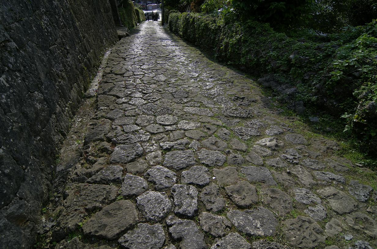 d0237340_8493655.jpg