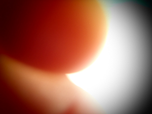 a0192946_22471079.jpg