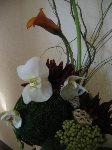 b0072051_08439.jpg