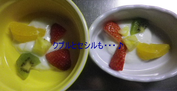 b0239151_1636019.jpg