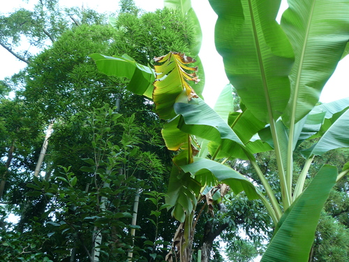 f0025351_2272100.jpg