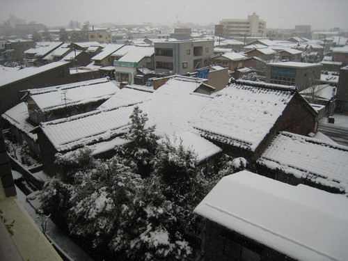 e0121558_12339.jpg