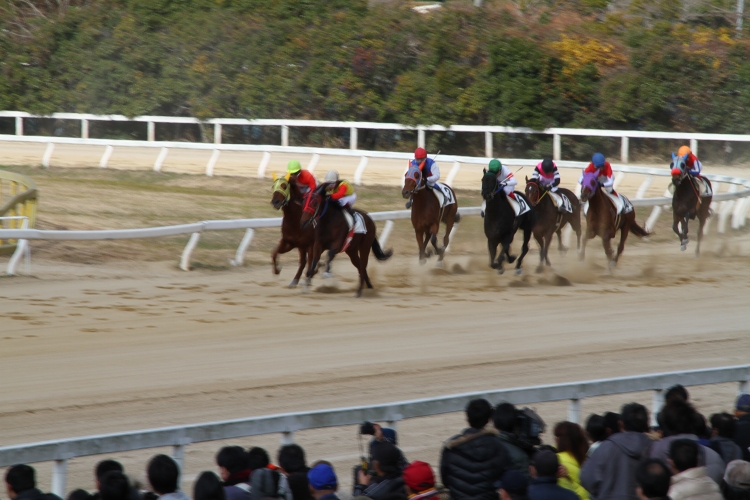 ありがとう、さようなら、そしてお疲れ様　荒尾競馬　前編_b0123359_0523675.jpg