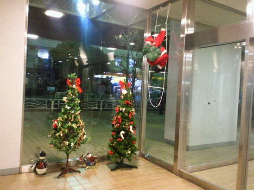 f0054859_0591369.jpg