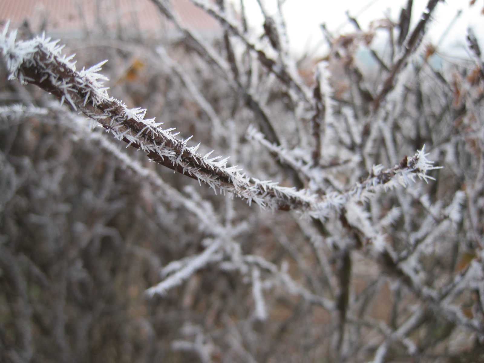 f0236260_00546.jpg