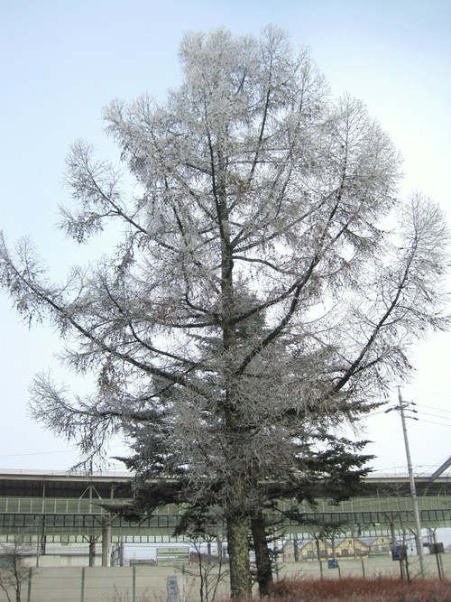 f0236260_0124731.jpg