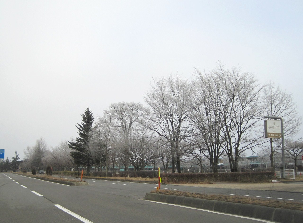 f0236260_073093.jpg