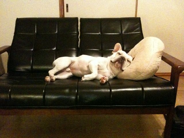明日はお休みさせていただきます_a0239065_1775296.jpg