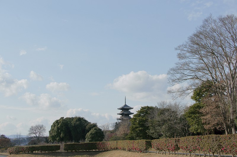 b0198768_132467.jpg