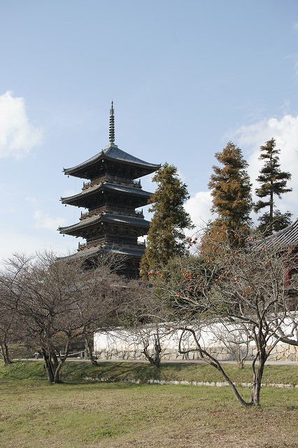 b0198768_13345718.jpg
