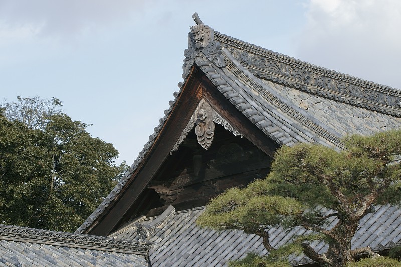 b0198768_13392242.jpg