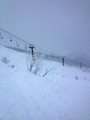 f0233068_17392951.jpg