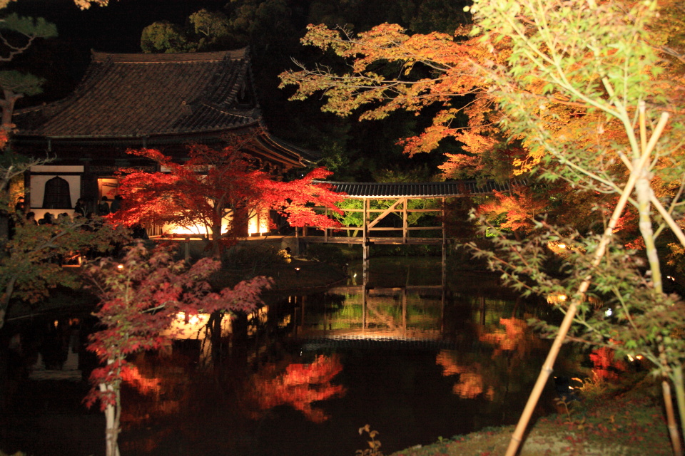 高台寺（２）_e0096372_635541.jpg