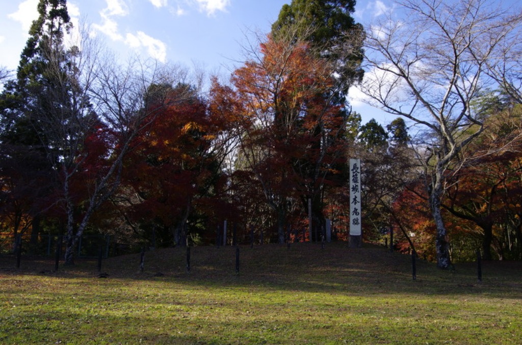 e0174074_6738.jpg