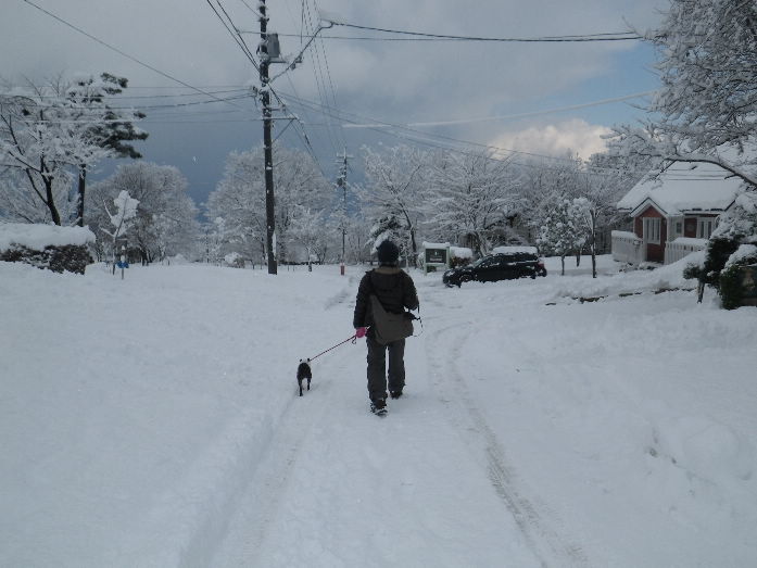 大山・蒜山X\'mas休暇　その２_b0184877_1913547.jpg