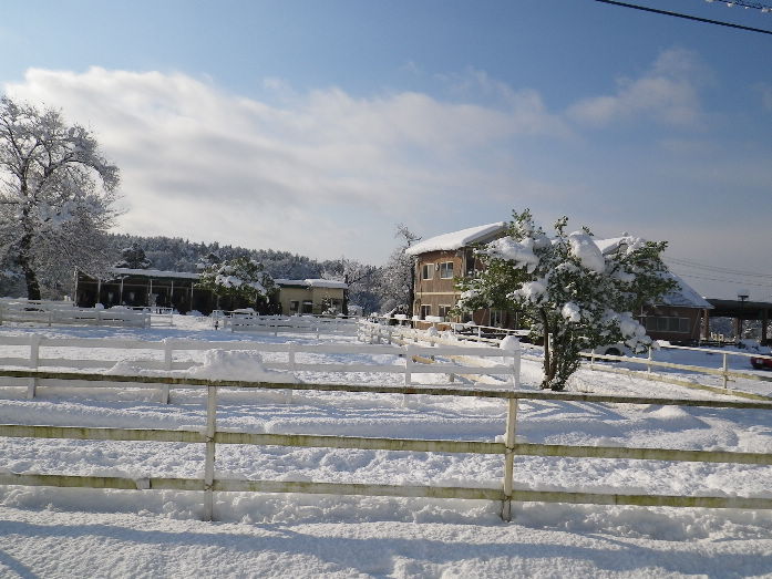 大山・蒜山X\'mas休暇　その２_b0184877_1971831.jpg