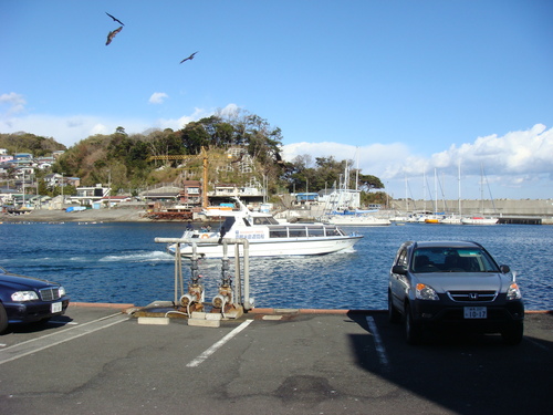 d0042380_2025573.jpg