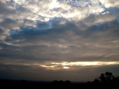 e0062884_08679.jpg