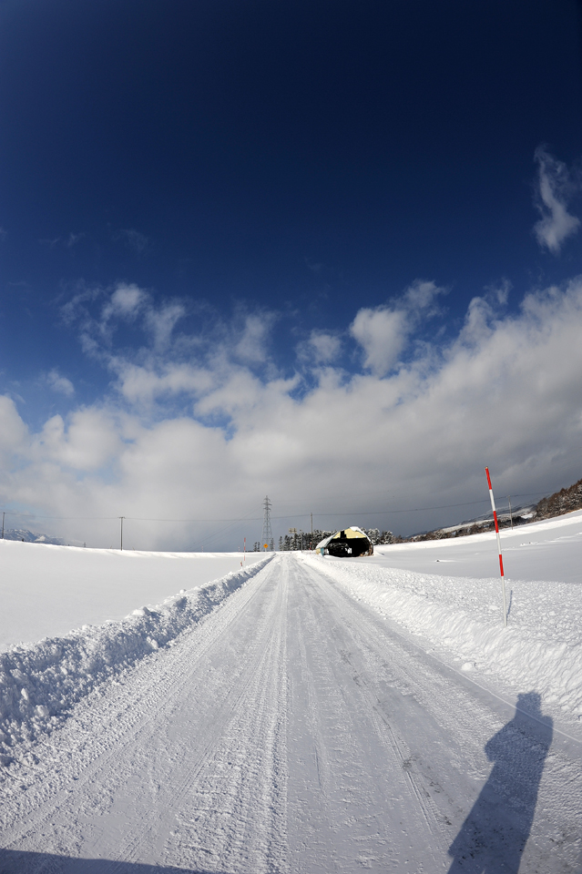 吹雪が止んだ朝_a0141385_22345262.jpg