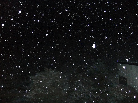 f0215591_10541470.jpg