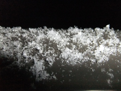 f0215591_10544734.jpg