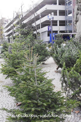 ドイツ＆フランスクリスマスの旅1_d0184294_23291488.jpg